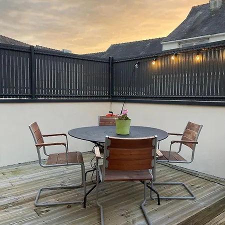 Plein Centre - Spacieux Duplex T2 Avec Grande Terrasse Ensoleillee