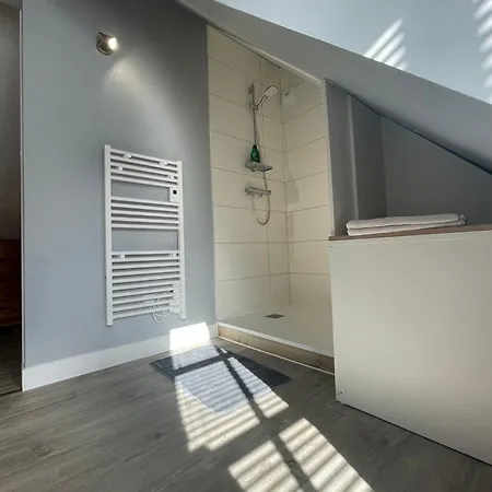 Plein Centre - Spacieux Duplex T2 Avec Grande Terrasse Ensoleillee * Auray